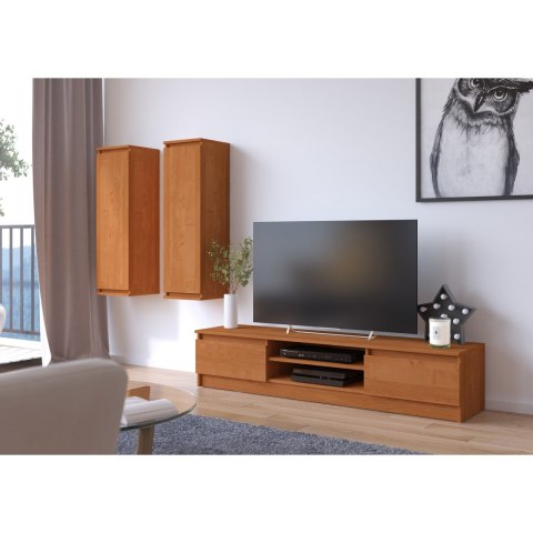 SZAFKA RTV 160 cm 2D 1P OLCHA