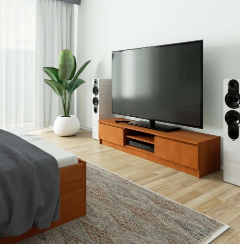 SZAFKA RTV 160 cm 2D 1P OLCHA